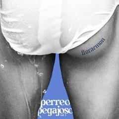 PERREO PEGAJOSO VOL. 1