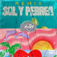 Sech, Daddy Yankee, J Balvin vs Bad Bunny - Sal y Perrea Remix vs Efecto (Twiins Mashup)