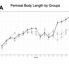 Senolytics Dasatinib and Quercetin for Prevention of Pelvic Organ Prolapse in Mice