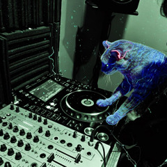 Attack of the ElectroCats - Operario b2b Natural Killer