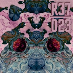 R37 Podcast 023 | Lucas Nuedling