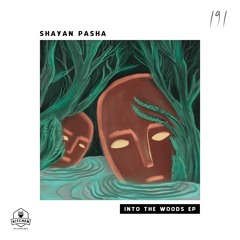 Shayan Pasha - The Traveller (Original Mix)