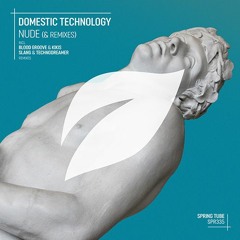 Domestic Technology - Nude (Blood Groove & Kikis Remix)