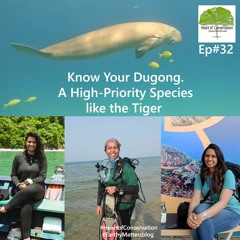 Know Your Dugong. A High Priority Species Like the Tiger Ep#32