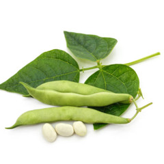 Beans