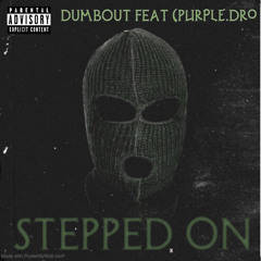 Li talibann feat.(Purple dro ) Stepped On (prod.young k9)