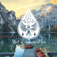 Best of alexrainbirdMusic 2021 🎉 - An Indie/Pop/Folk/Rock Playlist