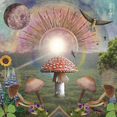 Mycelium Dream | kayBe [12/2020]