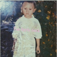 အိမ်အပြန်ပန်းတွေဝယ်ခဲ့ပါ(Official Audio)