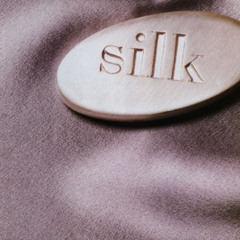 Apple Music Library - Silk (Charlie Mix)