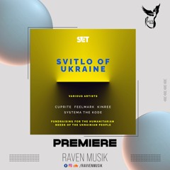 PREMIERE: Feelmark - Walking With A Dream (Original Mix) [SVET]