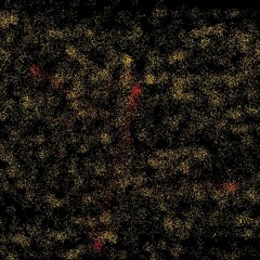 STARRY NIGHT