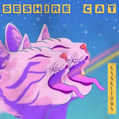 Sanky Town (BootlegRemix) (Free DL)