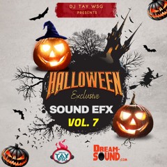 DJ TAY WSG - EXCLUSIVE SOUND EFX VOL.7 2024 (HALL🎃WEEN) 👻