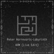 on Peter Horrevorts - Labyrinth AVM(Live Edit)(FREE DL)