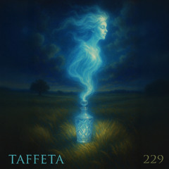 TAFFETA | 229