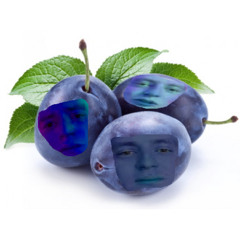 песня про сливы(очень душевно)[meshup]