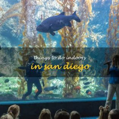 Best Things To Do Indoors In San Diego Tours Reviews