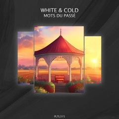 PREMIERE: White & Cold - Calligraphe (Original Mix) [Polyptych Limited]