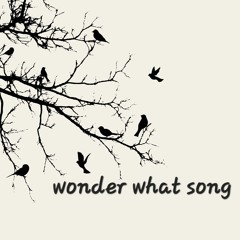 WONDER WHAT SONG (Latham/Amburgey/Dobberteen)