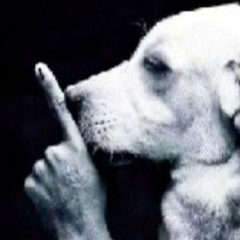 CARALHO (MC CAROL, MC CODE, MC MR BIM, MC SACI, MC RAFA)