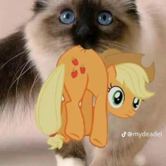 My music 🎵🎶 2⁉️