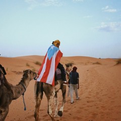 Yo Sere Tu Camello (BASS BOOSTED)