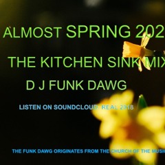 The Kitchen Sink Mix - DJ Funk Dawg