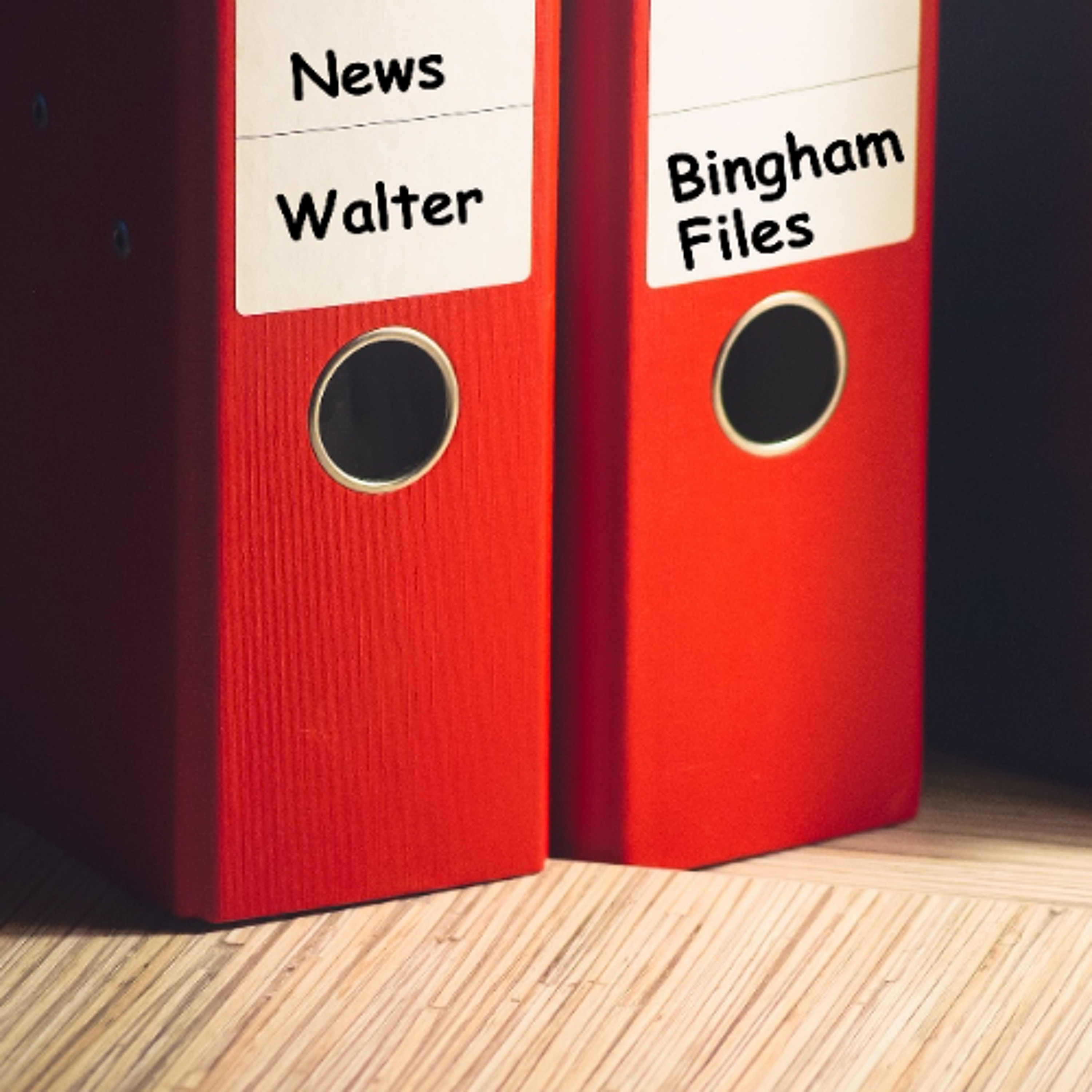 Unmasking the European Union Leaders - The Walter Bingham File