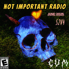 not important radio CVM beat tape S2 vol 4