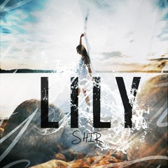 Shir - Lily