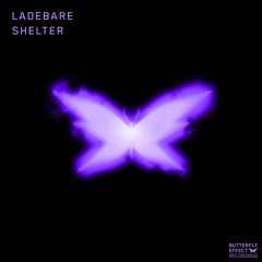 Premiere: Ladebare - Shelter
