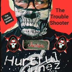 The Trouble Shooter