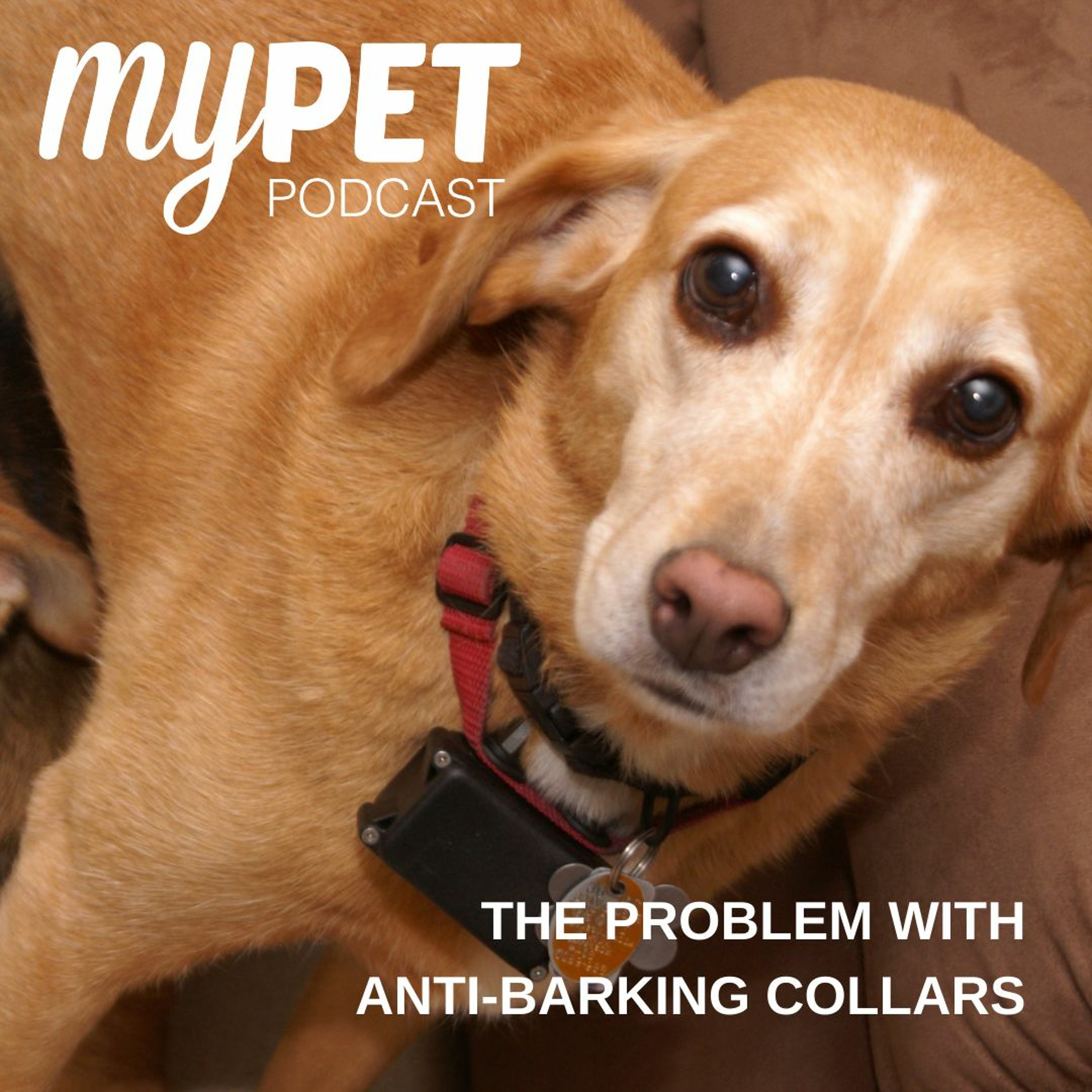 The Problem With Anti-Barking Collars episode artwork