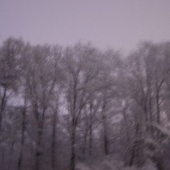 Ice Cool