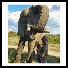 Victim of Cancel Culture (Bonus Track)