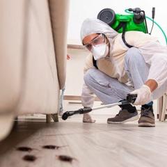 Know About The Safe & Eco - Friendly Pest Removal Methods