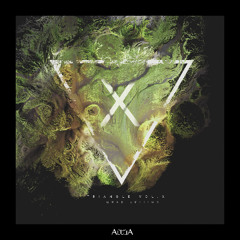 Triangle Vol.X