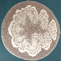 Panorama du micro monde (002)