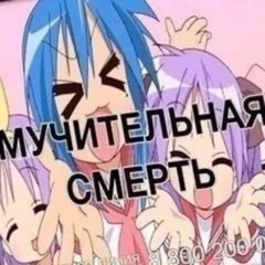 Порезы