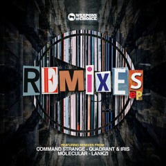 Confusious - Ground Zero (Command Strange Remix) [Premiere]