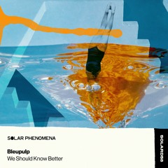 (SOLARD58) Bleupulp - We Should Know Better