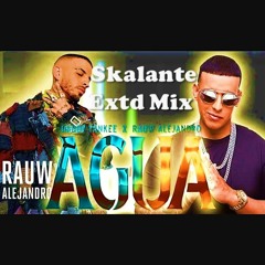 Daddy Yankee x Rauw Alejandro, N.R.- Agua (Skalante Extd Mix) Free Download Pass : Skalante