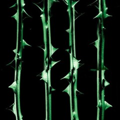 Nagato x Gainz (prod. savic)