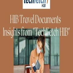 H1B travel documents - Techfetch H1B