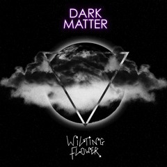 Dark Matter