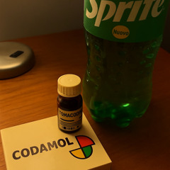 TT il GG sulla molly (first version)