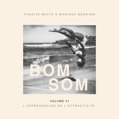 Passive Beats & Mariana Gehring - Bom Som (L’appréhension de L’attractivité) (Vol. 1)