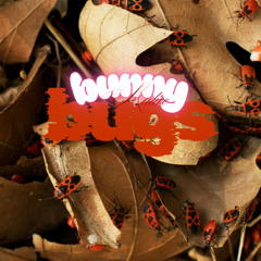 Bugs (DEMO)