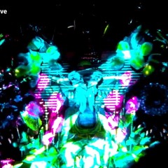 Auf Reisen im Koffer